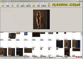 �����ش�����������߿ͻ��˵���Դ�鿴�ͱ༭����֧����ǿɫ16λ��32λ���ɫ