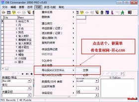 教大家一个可以批量编辑扩展传奇DBC数据库数据的方法--方便开发版本时使用