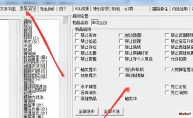 传奇GEE:自定义装备物品掉落提示及修改提示颜色